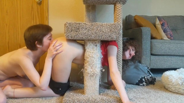 Lesbian Girlfriend Gets Stuck in Cat Tree - Full XXX Movies | ePornHIT.